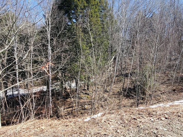 LOT51 Indian Hill Ln, Frankfort, ME 04438
