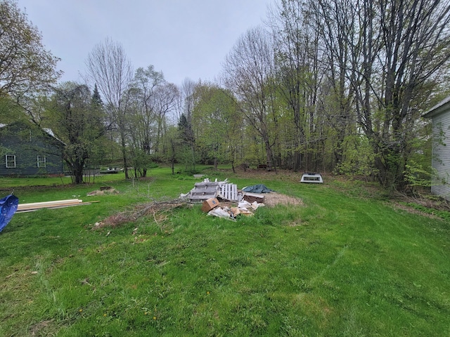 view of green lawn