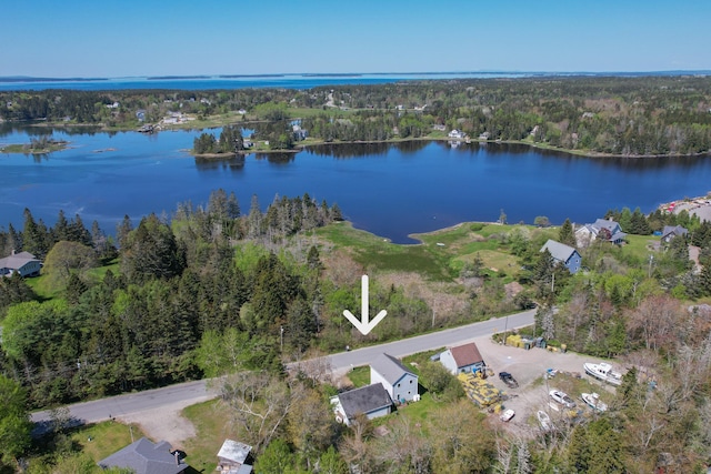 26 Flat Iron Rd, Tremont, ME 04653 - aerial overview of property's location with a forest and a nearby body of water