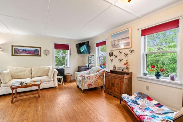 4 Otis St, Rockland, ME 04841 - living room featuring light wood finished floors and ornamental molding