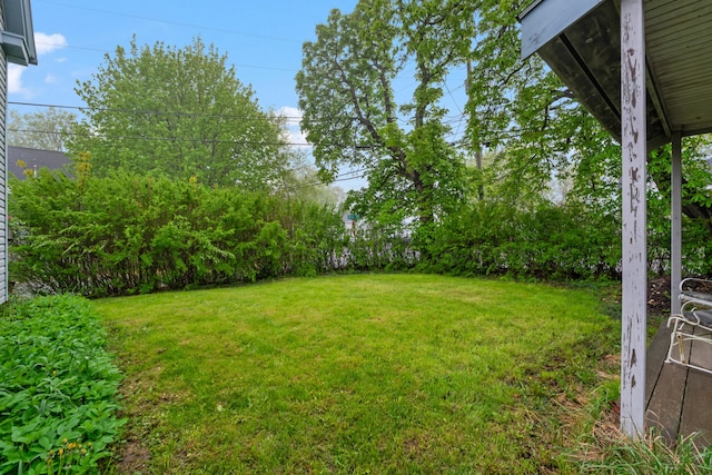 4 Otis St, Rockland, ME 04841 - view of green lawn