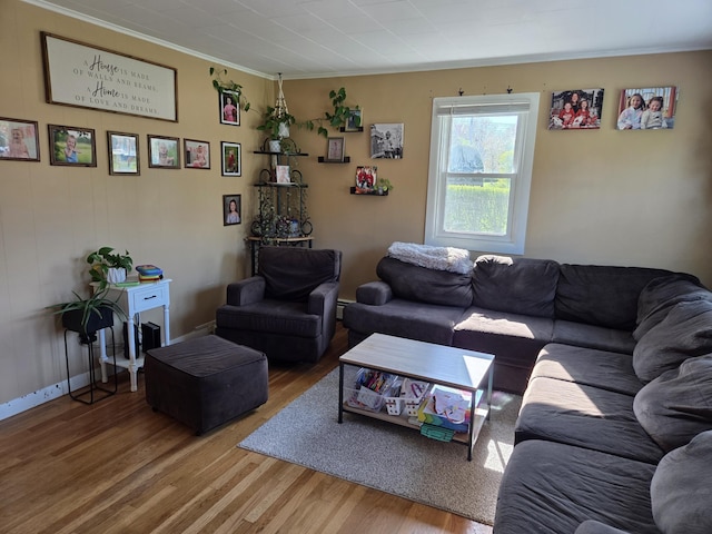 36 Lorraine Ave, Brewer, ME 04412 - living room featuring ornamental molding, wood finished floors, and baseboards