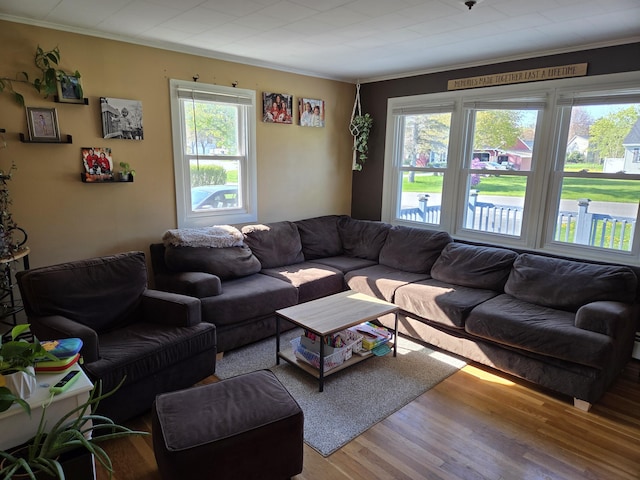 36 Lorraine Ave, Brewer, ME 04412 - living room with healthy amount of natural light, wood finished floors, and ornamental molding