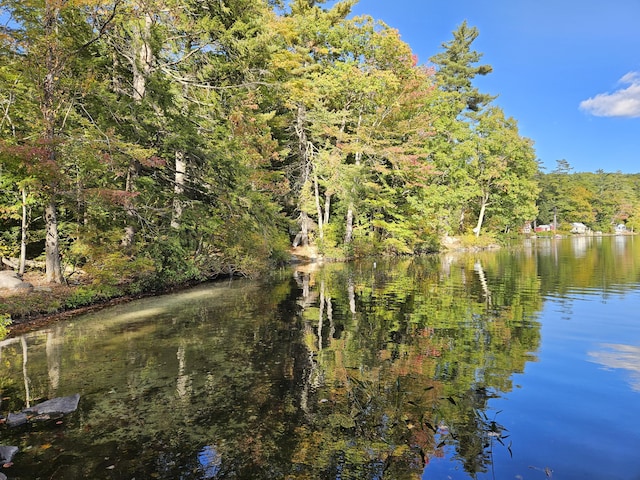 20 Lily Bay Ln, Parsonsfield, ME 04047 - water view with a forest