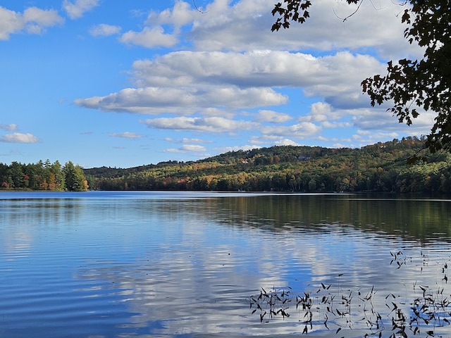 20 Lily Bay Ln, Parsonsfield, ME 04047 - water view featuring a heavily wooded area