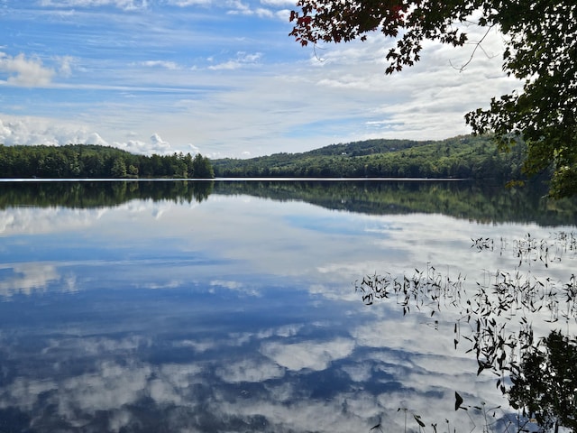 20 Lily Bay Ln, Parsonsfield, ME 04047 - water view with a forest