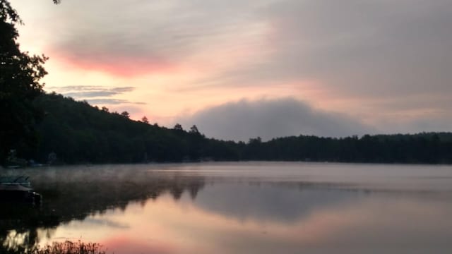 20 Lily Bay Ln, Parsonsfield, ME 04047 - water view featuring a forest