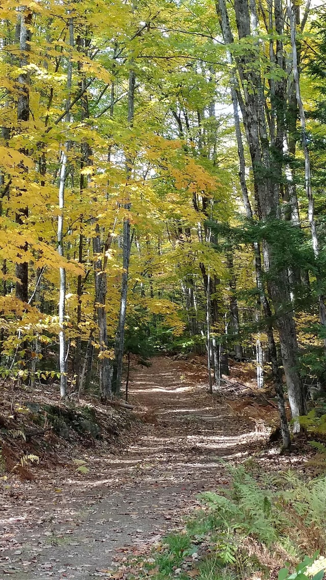 20 Lily Bay Ln, Parsonsfield, ME 04047 - view of local wilderness