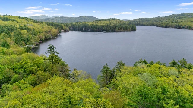 20 Lily Bay Ln, Parsonsfield, ME 04047 - water view featuring a forest and a mountainous background