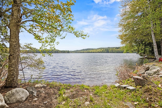 20 Lily Bay Ln, Parsonsfield, ME 04047 - water view with a forest