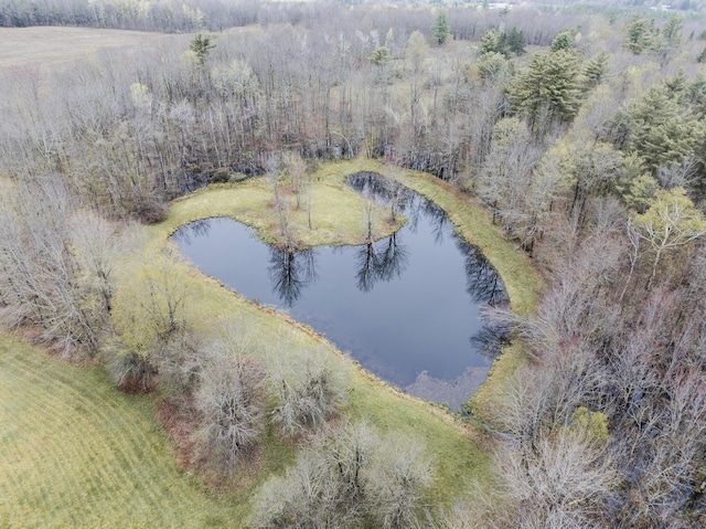 526 Range Rd, Dover-Foxcroft, ME 04426 - aerial view of a nearby body of water and a forest