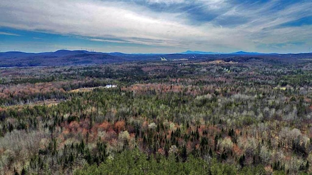 276 White Rd, Ludlow, ME 04730
