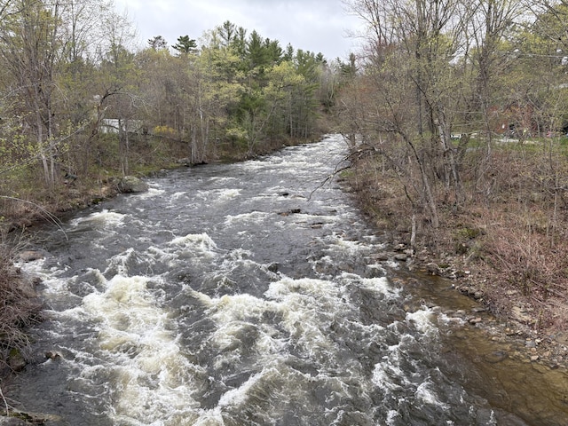 43 Berry Mills Rd, Carthage, ME 04224 - view of wooded area