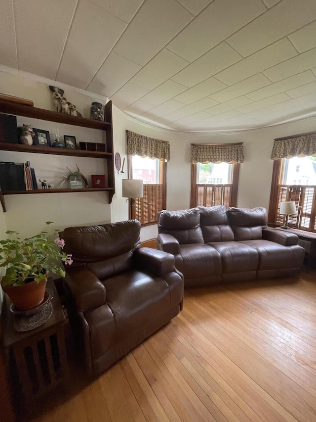 27 Murray St, Bingham, ME 04920 - living room featuring light wood finished floors
