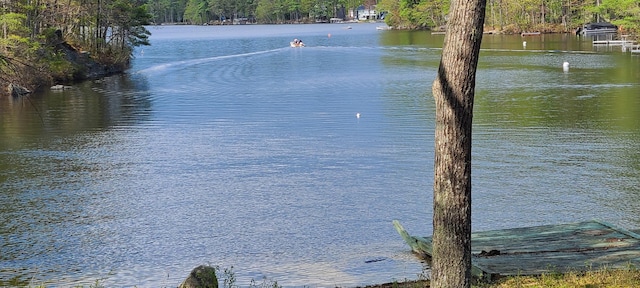 19 Pulpit Rock Rd, Raymond, ME 04071 - water view featuring a forest