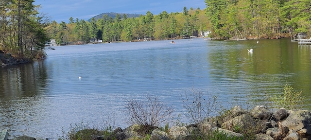 19 Pulpit Rock Rd, Raymond, ME 04071 - water view with a forest