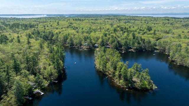 19 Pulpit Rock Rd, Raymond, ME 04071 - aerial view of property and surrounding area featuring a forest and a nearby body of water