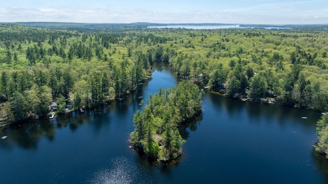 19 Pulpit Rock Rd, Raymond, ME 04071 - aerial view of property's location featuring a heavily wooded area and a nearby body of water