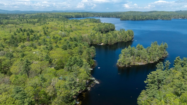 19 Pulpit Rock Rd, Raymond, ME 04071 - bird's eye view of a heavily wooded area and a large body of water