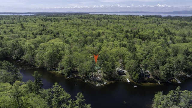 19 Pulpit Rock Rd, Raymond, ME 04071 - aerial view of property's location with a forest and a large body of water