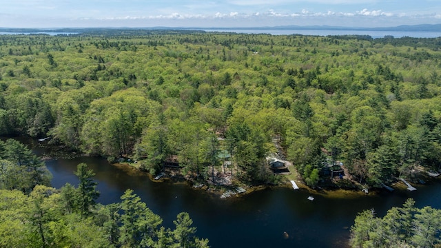 19 Pulpit Rock Rd, Raymond, ME 04071 - aerial view of property and surrounding area with a forest and a nearby body of water