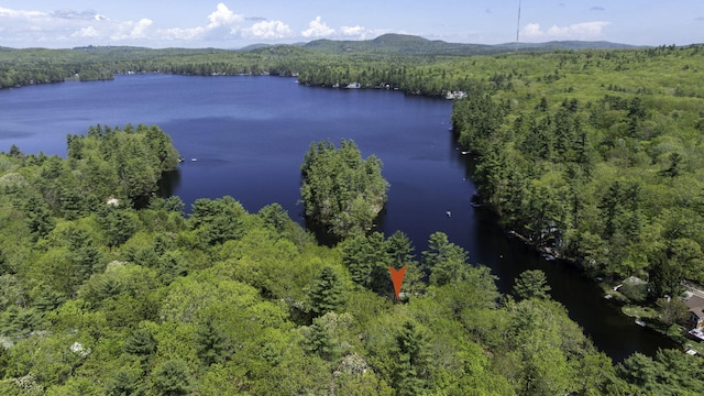 19 Pulpit Rock Rd, Raymond, ME 04071 - aerial view of property and surrounding area featuring a forest and a large body of water