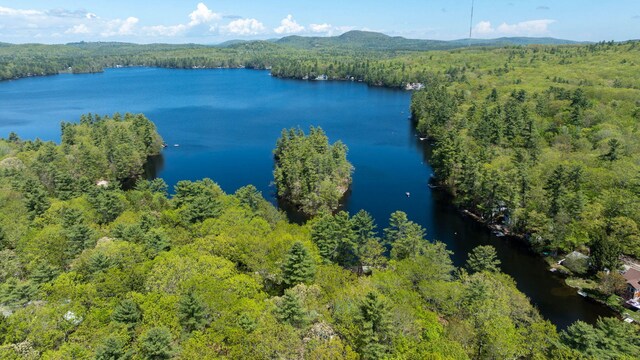 19 Pulpit Rock Rd, Raymond, ME 04071 - aerial view of a heavily wooded area and a nearby body of water