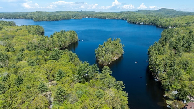 19 Pulpit Rock Rd, Raymond, ME 04071 - drone / aerial view of a forest and a large body of water
