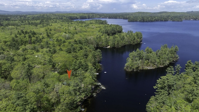 19 Pulpit Rock Rd, Raymond, ME 04071 - aerial overview of property's location featuring a heavily wooded area and a nearby body of water