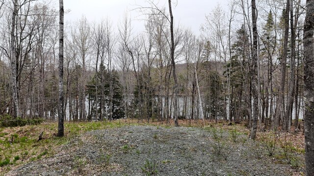LOT1 Turtle Cove Rd, Sebec, ME 04481