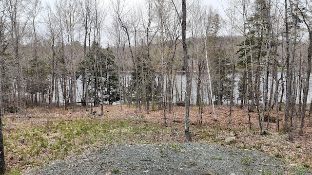 LOT1 Turtle Cove Rd, Sebec, ME 04481