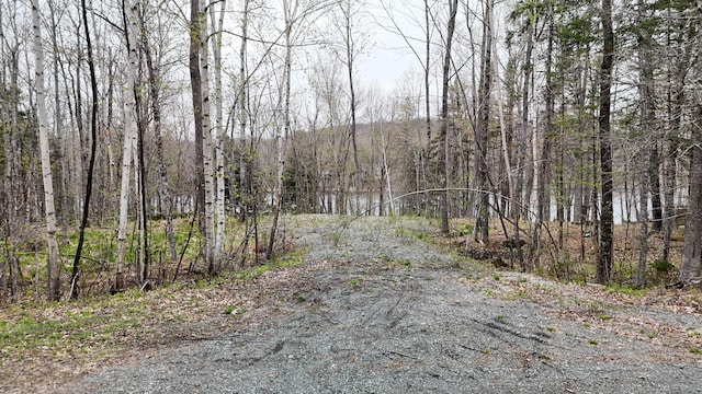 LOT1 Turtle Cove Rd, Sebec, ME 04481