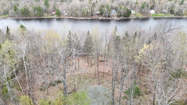 LOT1 Turtle Cove Rd, Sebec, ME 04481