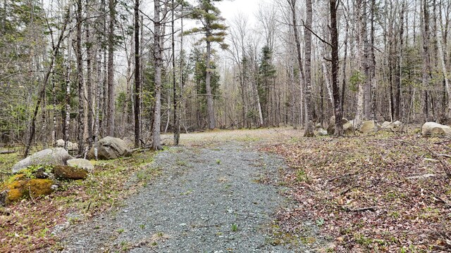 LOT1 Turtle Cove Rd, Sebec, ME 04481