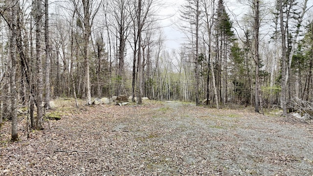 LOT1 Turtle Cove Rd, Sebec, ME 04481