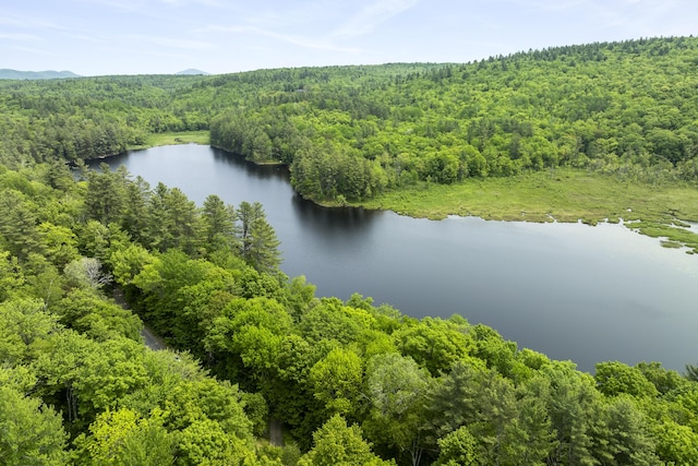67 Day Mountain Rd, Temple, ME 04984 - bird's eye view of a heavily wooded area and a nearby body of water
