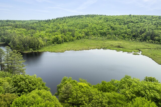 67 Day Mountain Rd, Temple, ME 04984 - drone / aerial view of a heavily wooded area and a large body of water