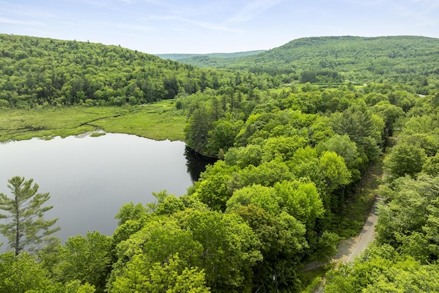 67 Day Mountain Rd, Temple, ME 04984 - drone / aerial view of a forest and a nearby body of water
