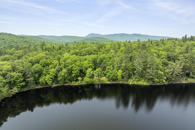 67 Day Mountain Rd, Temple, ME 04984 - view of mountain background with a forest and a large body of water
