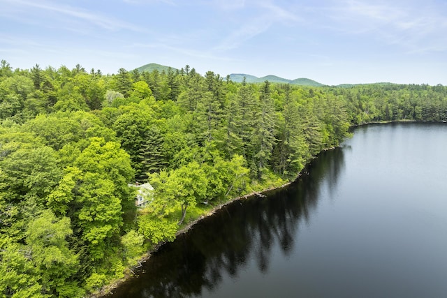 67 Day Mountain Rd, Temple, ME 04984 - drone / aerial view of a heavily wooded area and a water and mountain view