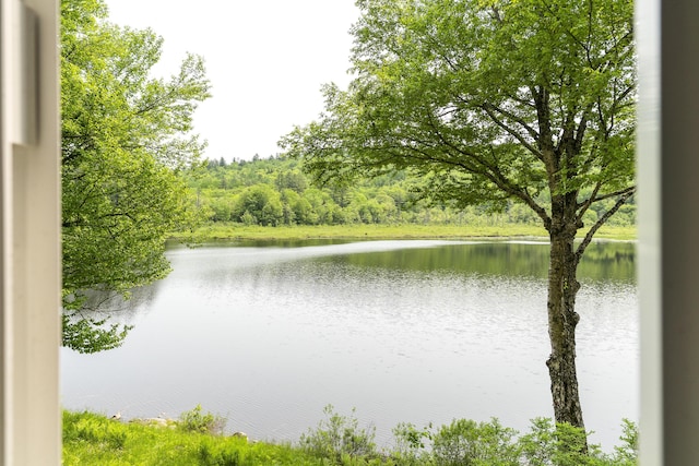 67 Day Mountain Rd, Temple, ME 04984 - water view featuring a heavily wooded area