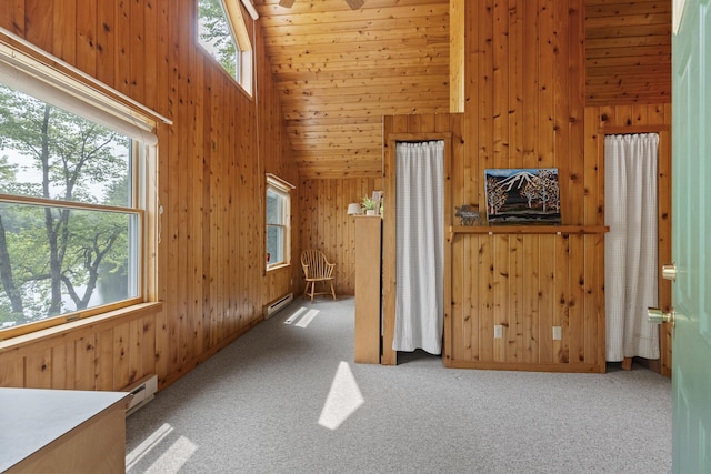 67 Day Mountain Rd, Temple, ME 04984 - unfurnished room with wood walls, a baseboard radiator, high vaulted ceiling, and carpet flooring