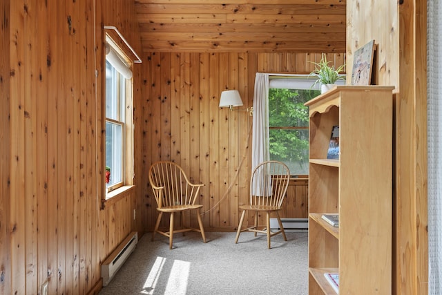 67 Day Mountain Rd, Temple, ME 04984 - sitting room featuring a baseboard radiator, baseboard heating, wooden walls, and carpet