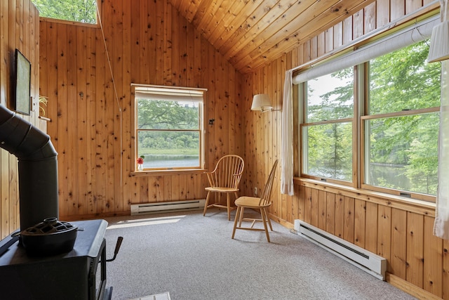 67 Day Mountain Rd, Temple, ME 04984 - living area featuring baseboard heating, vaulted ceiling, carpet floors, wood walls, and a wood stove