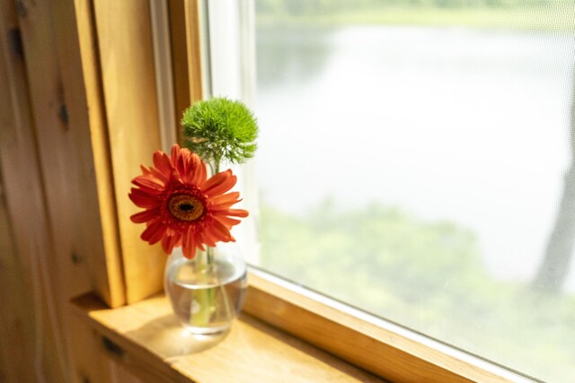 67 Day Mountain Rd, Temple, ME 04984 - detailed view