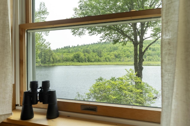 67 Day Mountain Rd, Temple, ME 04984 - water view featuring a forest