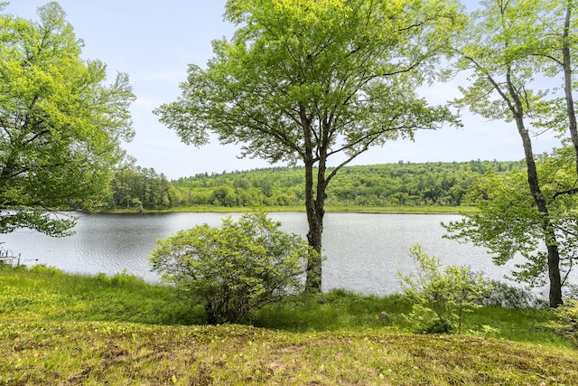 67 Day Mountain Rd, Temple, ME 04984 - water view featuring a forest