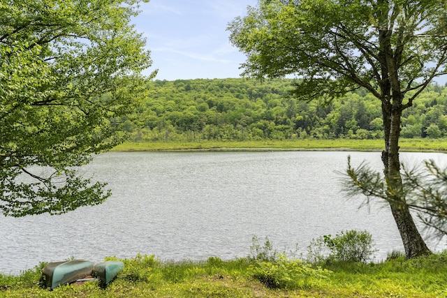 67 Day Mountain Rd, Temple, ME 04984 - water view with a forest