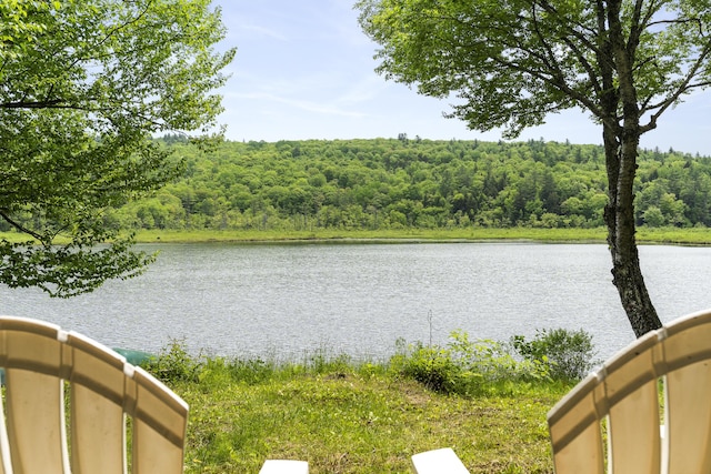 67 Day Mountain Rd, Temple, ME 04984 - water view featuring a heavily wooded area