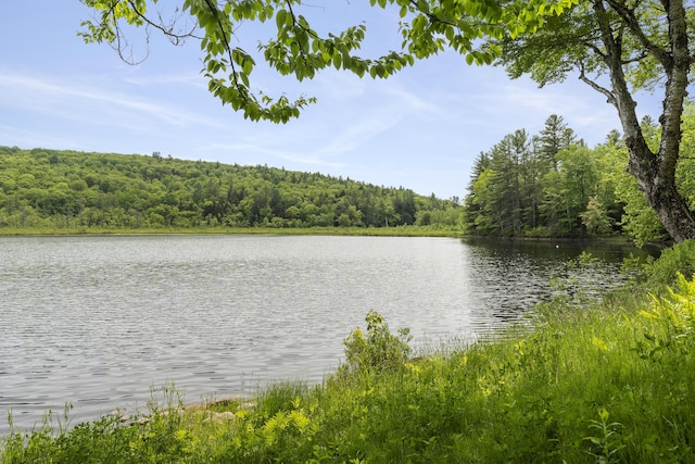 67 Day Mountain Rd, Temple, ME 04984 - water view with a forest